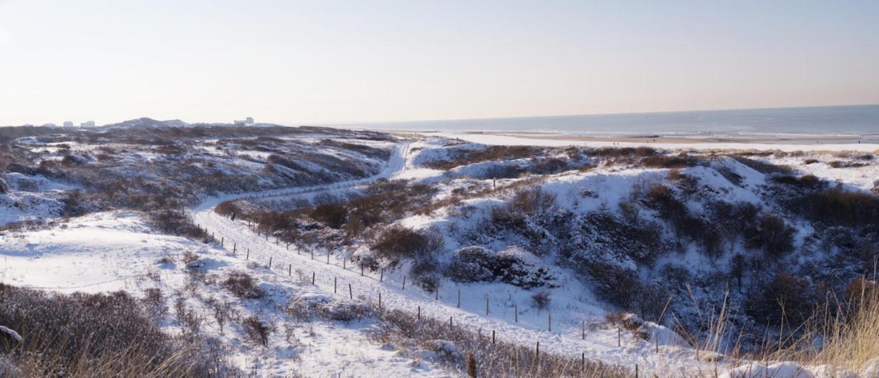 Dunes & Sea At Kijkduin Hága Kültér fotó